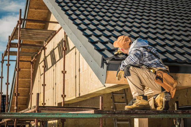Best Roof Moss and Algae Removal  in Lyons, GA